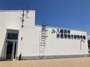 今日からパパもおさかな名人！かんたん親子クッキング